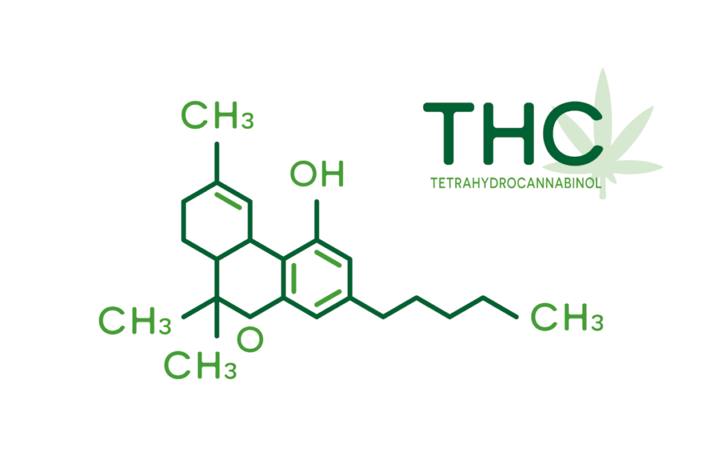 THC分子構造
