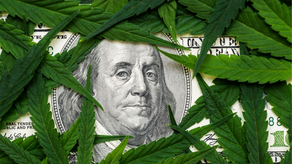 大麻の免許制度と政治家の汚職