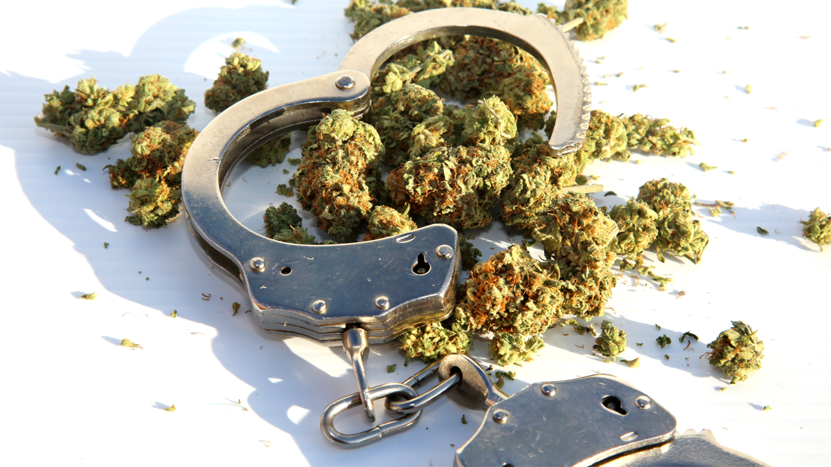 米国上院議員らがバイデン大統領に大麻犯罪者への大規模な恩赦を要請