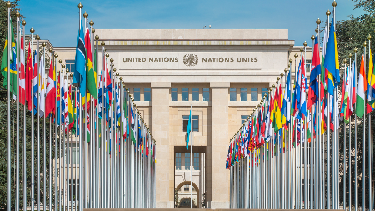 世界181のNGO団体が国連の大麻ガイドライン制定に透明性を要求