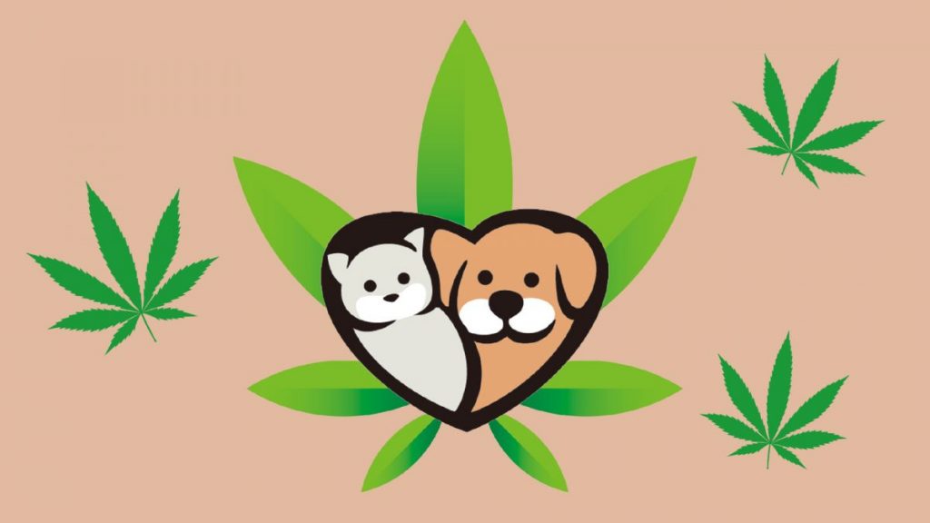 大麻と猫と犬のイラスト