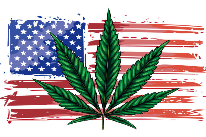 米、約8割の国民が全米での大麻合法化を支持