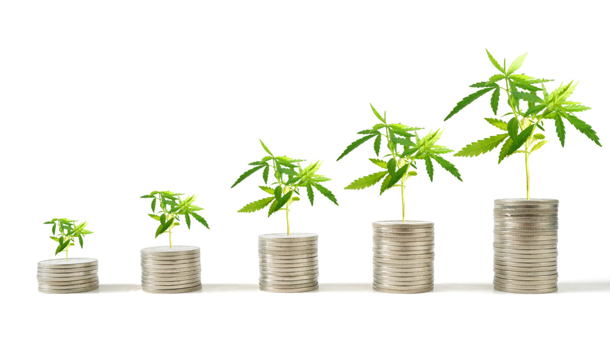 世界の大麻売上高は2026年までに約8兆2000億円に達すると予測