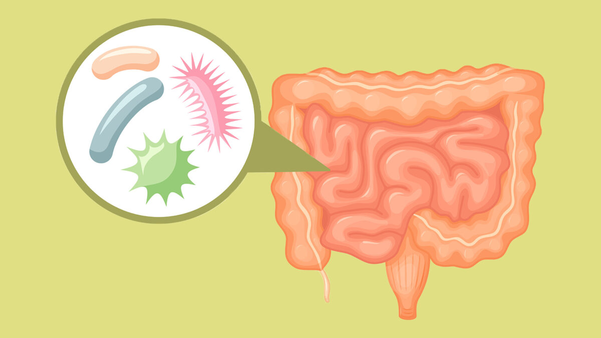 CBDの抗てんかん作用に腸内細菌が関与か