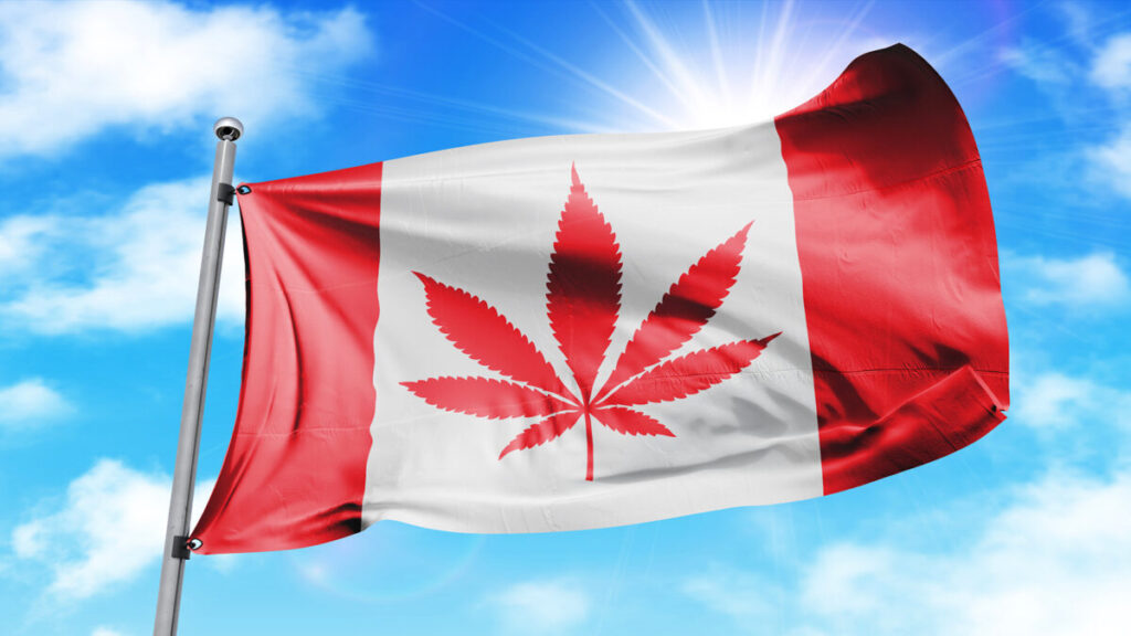 カナダ政府、2022年の国内大麻調査の結果を公開