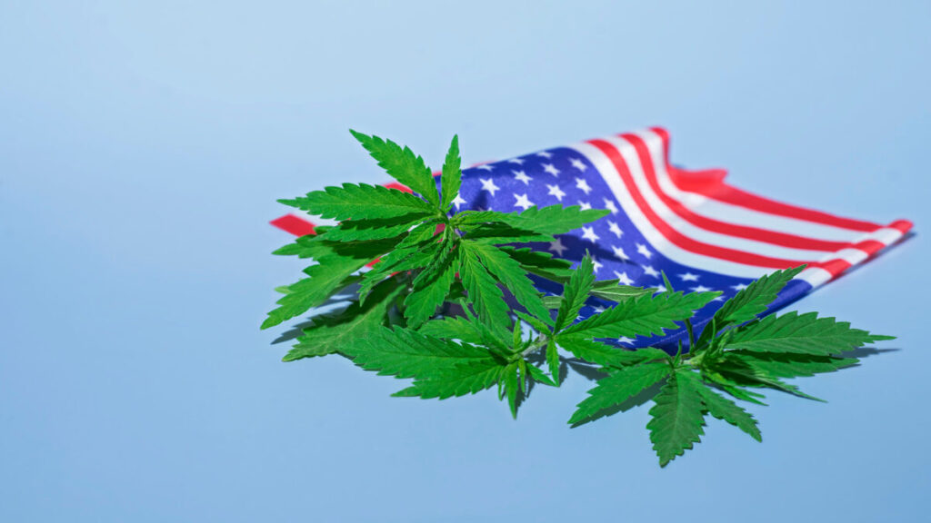 米有権者の65％が嗜好用大麻の合法化を支持 最新の世論調査