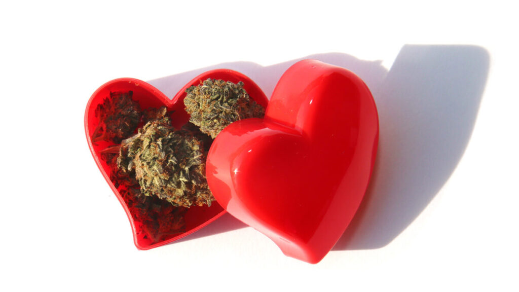 アメリカの成人の61%が今年のバレンタインデーに大麻を取り入れる予定
