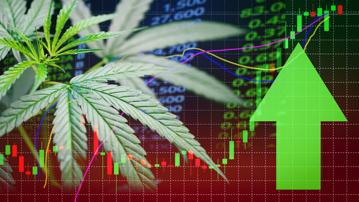 世界の大麻市場規模、2027年までに約600億ドルに達する見込み