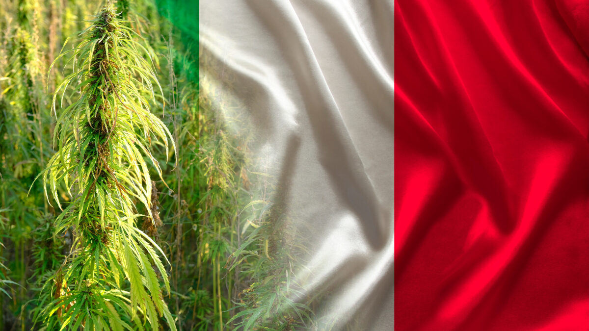 イタリアの裁判所がヘンプ（産業用大麻）の部位規制を無効とする判決を下す