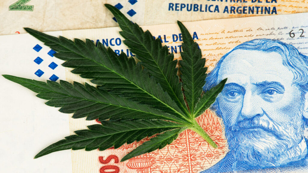 アルゼンチン、大麻産業で2025年国内売上5億ドル・1万人の雇用を見込む