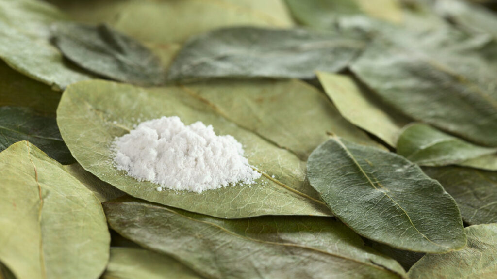 カナダの大麻企業、研究目的でコカインの製造・販売が認められる