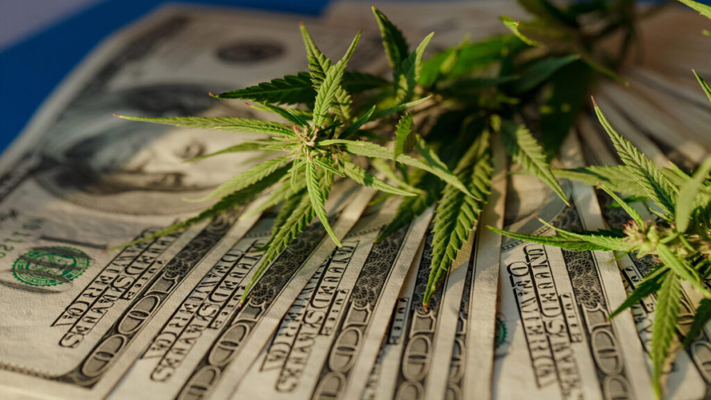 米ニューメキシコ州が嗜好用大麻販売1周年を迎える　初年売上3億ドル超