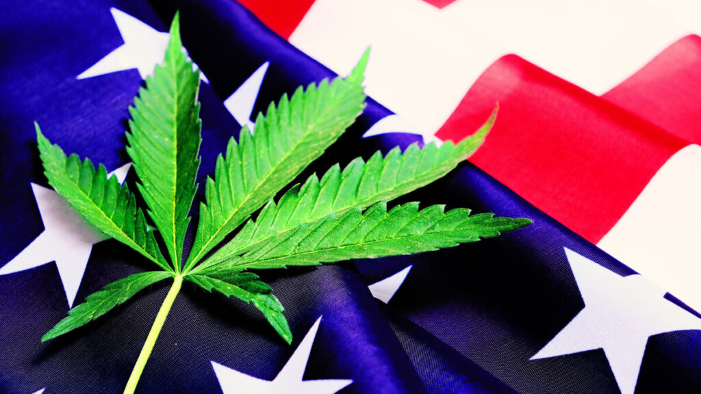 米国民の半数以上が嗜好大麻合法化を支持　3つの最新世論調査で明らかに