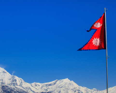 ネパール、医療用大麻の栽培を検討へ