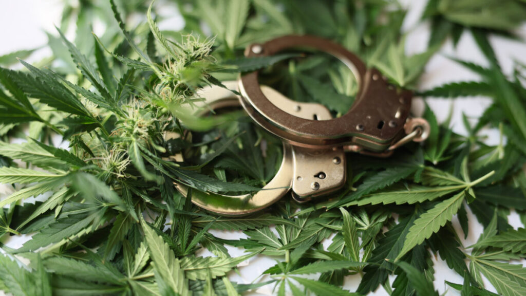 「大麻で逮捕」は大麻使用を抑制しない　新たなアプローチの必要性を示す研究結果