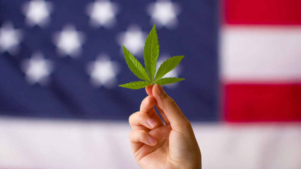 米国保健福祉省が大麻の医療価値を認め、規制緩和を要請