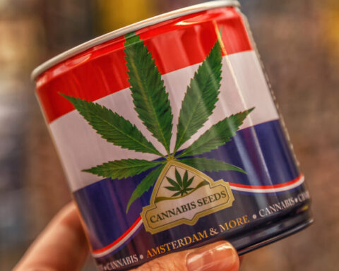 オランダが合法大麻の試験販売を12月より開始