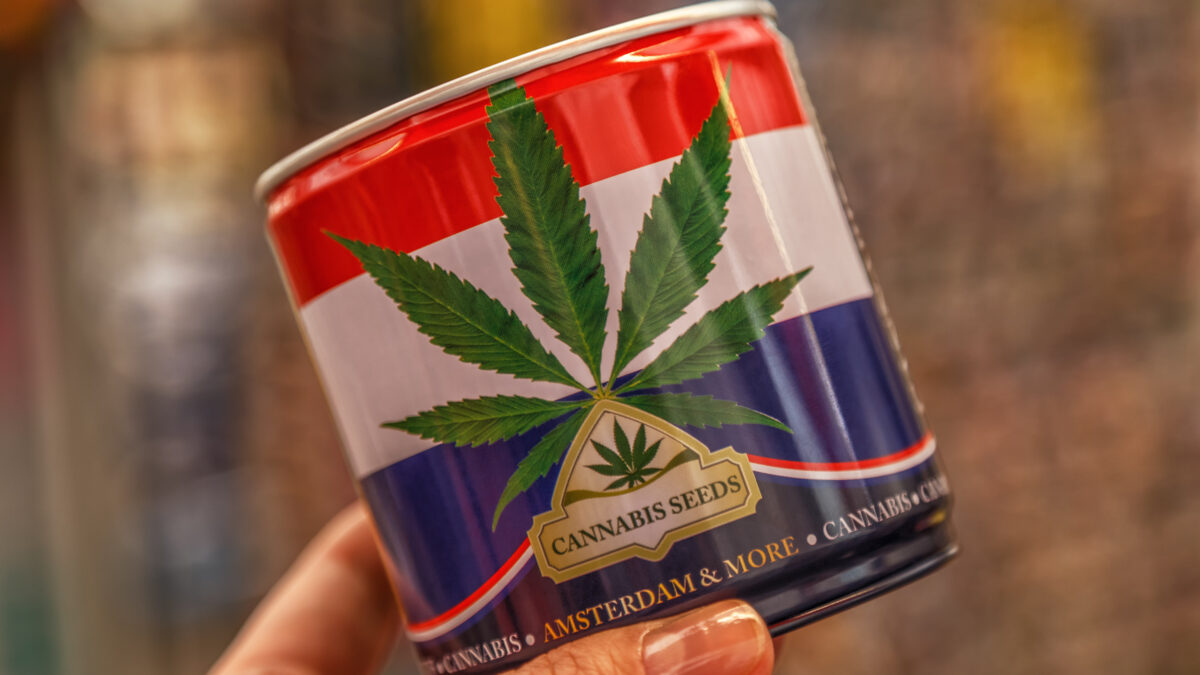 オランダが合法大麻の試験販売を12月より開始