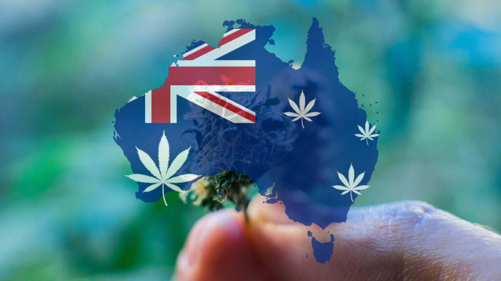 オーストラリア医療用大麻市場、2023年上半期に急成長