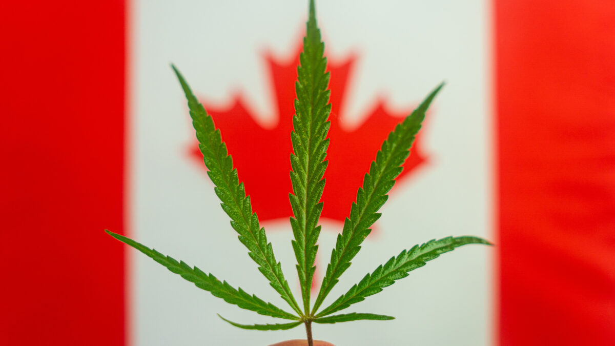 大麻合法化から5年が経過したカナダ　もたらされた成果と問題点　-後編-
