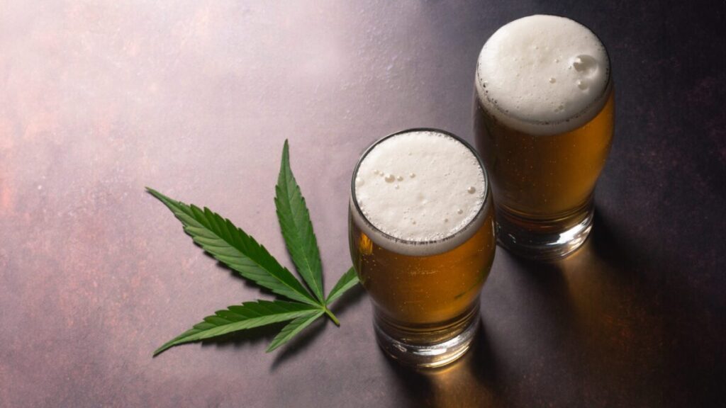 米国の2023年大麻売上は290億ドル　アルコール離れが加速