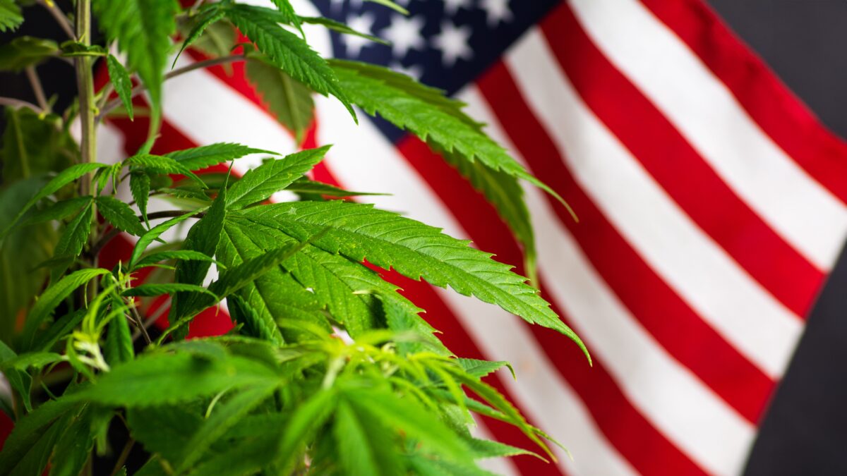 米保健省、大麻治療は一部病状において「信頼できるエビデンスあり」と結論