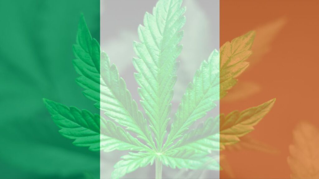 アイルランド国家機関が医療用大麻は神経痛に「著しく有益」と報告