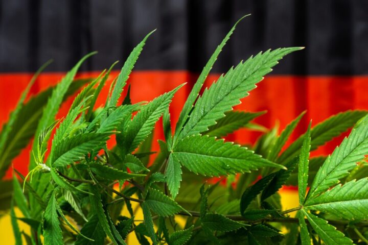 ドイツ、4月1日から嗜好用大麻を合法化