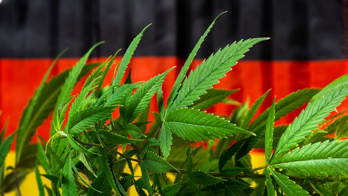 ドイツ、4月1日から嗜好用大麻を合法化