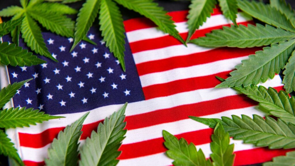 米国民の88%が医療または嗜好用大麻の合法化を支持
